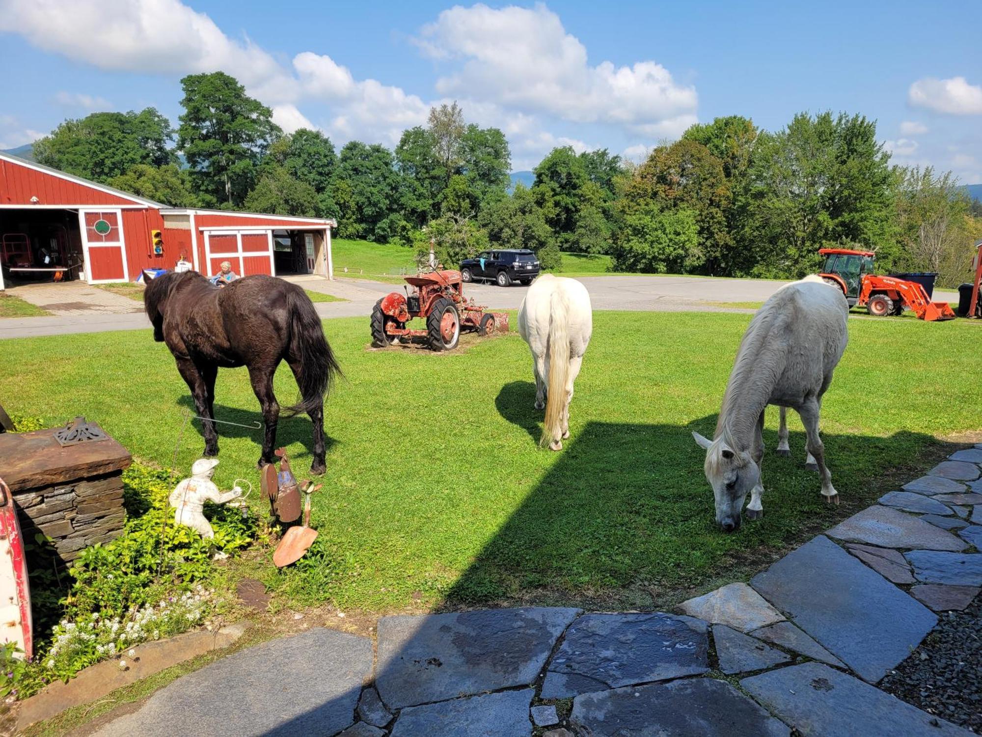 Clover Hill Farm & Country Inn Уилямстаун Екстериор снимка