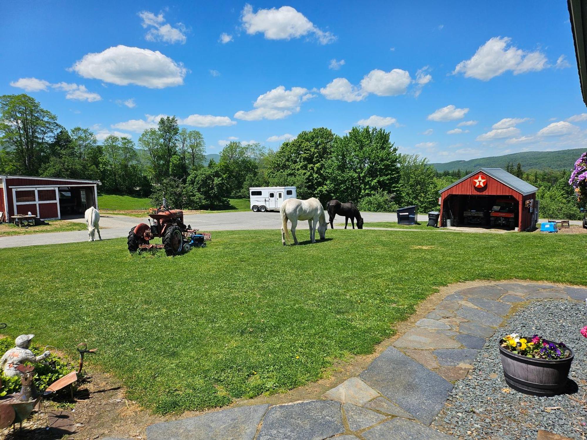 Clover Hill Farm & Country Inn Уилямстаун Екстериор снимка